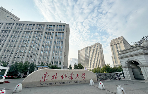 東北林業(yè)大學